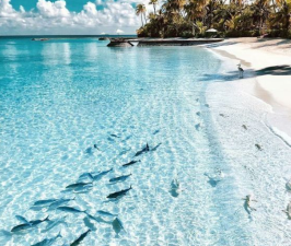 The Island You Must Visit In Your Life
